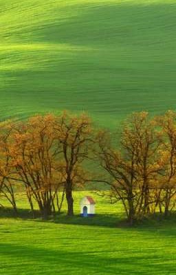 Моя жизнь в 13-14 лет