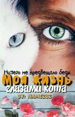 Моя жизнь глазами кота