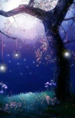 Университет Зии