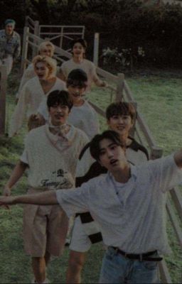 2000 касет на которых крутится вишневое лето