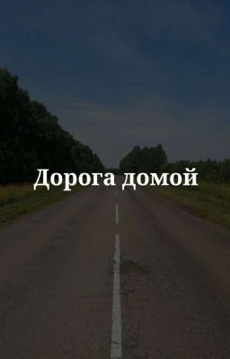 Дорога домой
