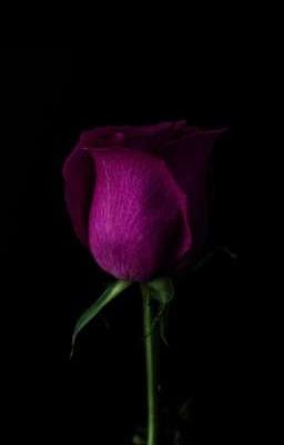 Истощение души