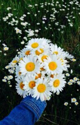 Хорошая девочка 