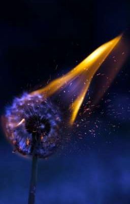 Мой Не наглядный 