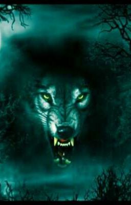  мой оборотень