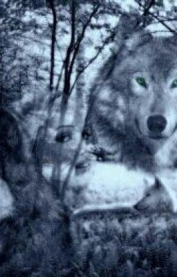 Любовь альфы...