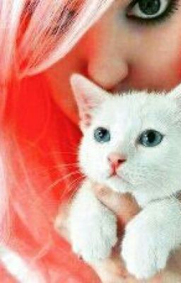 Мой Котик или Сосед По Парте