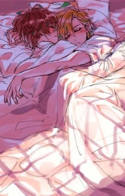 i am going back to 505...