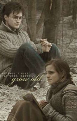 Одержимость