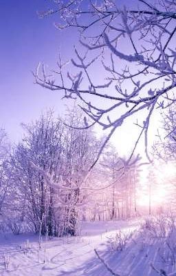 Холодное сердце [Редактируется] 