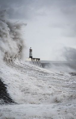 Бедная Мэри