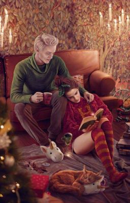 Книга-не переплёт.