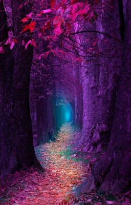 Волчья дочь 