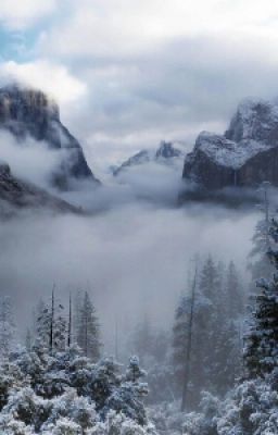 Наследники