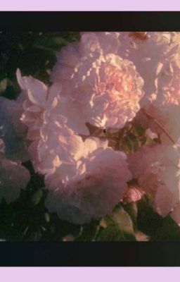 В университете