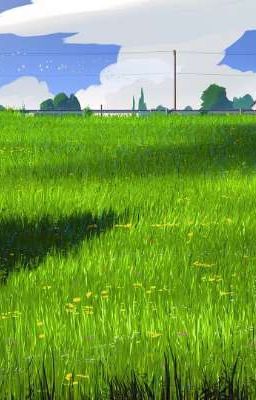 Долгий лутчий лагерь)