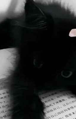 попаданка в непету Страшилки