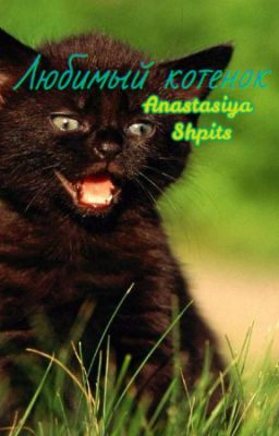 Любимый котёнок  или Такие разные сёстры