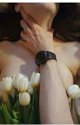 У любви есть цена. 