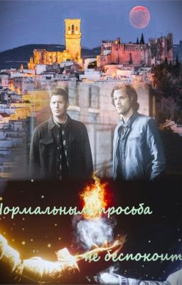 Нормальным просьба не беспокоить