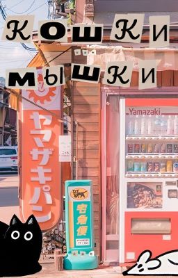 Кошки-мышки по корейски