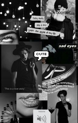 ✨Жизнь под прицелом✨