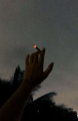 новая семья..?