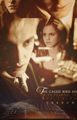 Драмиона™|I Love You...