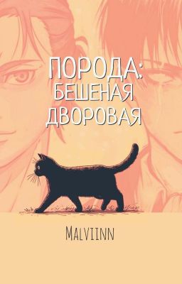 Порода: бешеная дворовая