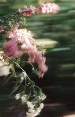 Маленький Бельчонок