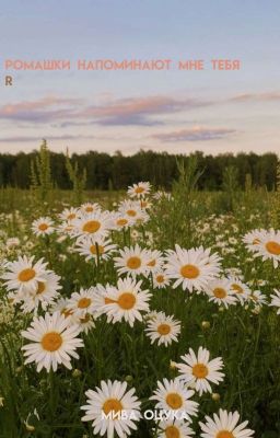 ромашки напоминают мне тебя. 