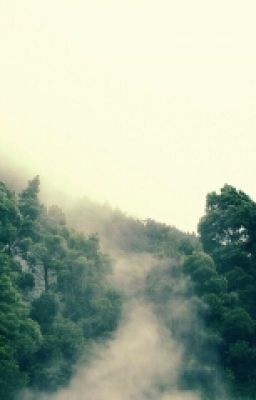 Поездка в лес