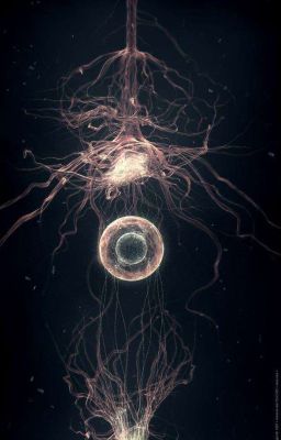 Бритва Оккама