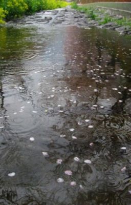 После Отчаяния