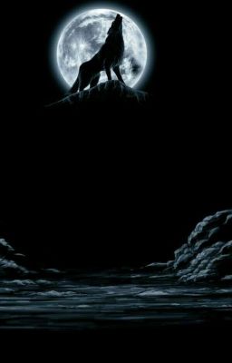 Дневник оборотня!