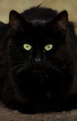 ты отвяжешься от меня или нет?! 