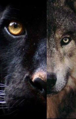 Он Мой Враг