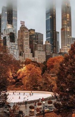 Когда наступил ноябрь