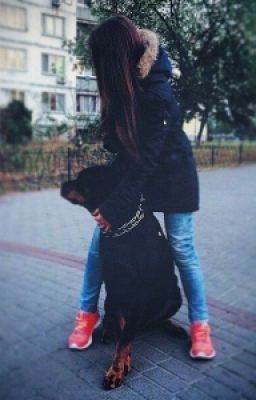 Танец судьбы #Wattys2016