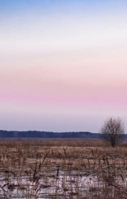 Красота в мелочах