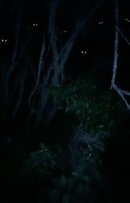 Strangers [Минсоны]