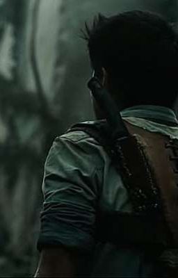 На краю тишины