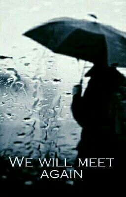 Мы встретимся вновь...