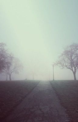 Продлевая жизнь...