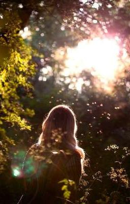 Ничего лишнего