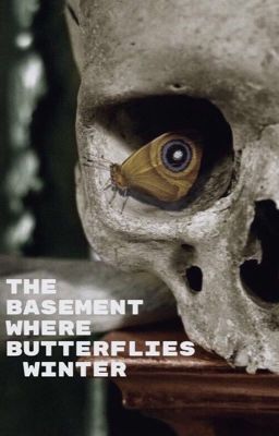 Подвал, где зимуют бабочки 🦋 