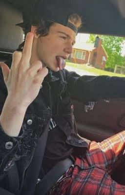 Новая Стерва🔥