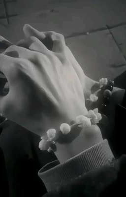 Влюблён в избранного♡ || Драрри