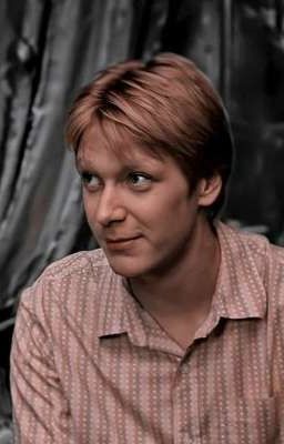 т/и и Джордж