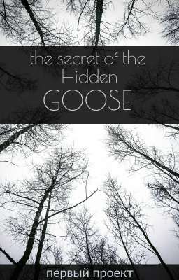 Секрет Скрытого гуся